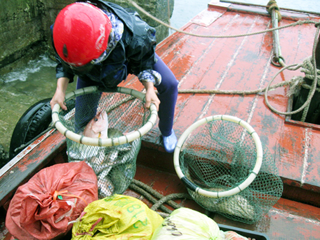 Gian nguy nghề lặn biển